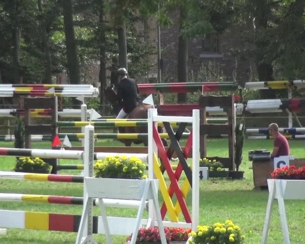 Reitturnier Würselen-Pley 2016