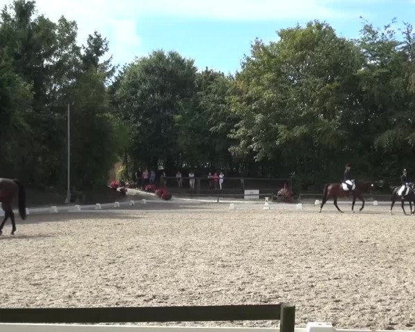 Reitturnier Würselen-Pley 2016