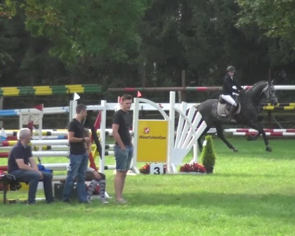 Reitturnier Würselen-Pley 2016