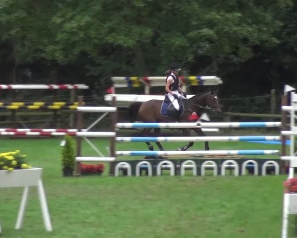 Reitturnier Würselen-Pley 2016