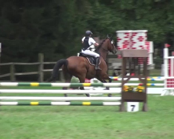 Reitturnier Würselen-Pley 2016