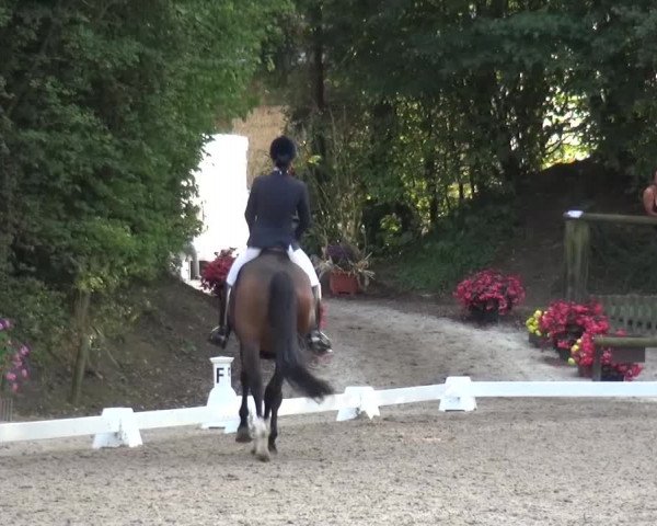 Reitturnier Würselen-Pley 2016