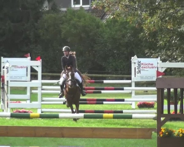 Reitturnier Würselen-Pley 2016
