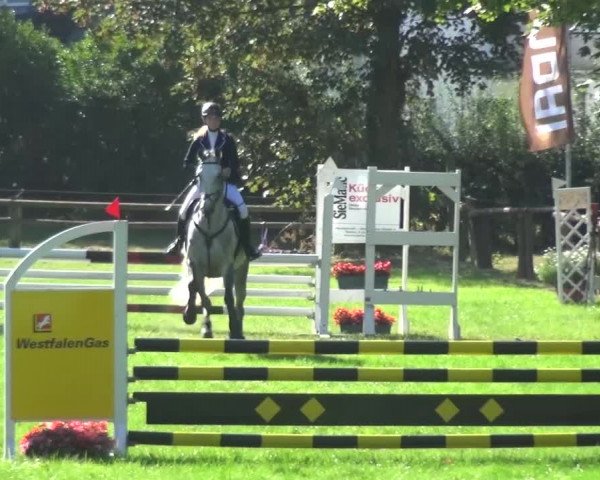 Reitturnier Würselen-Pley 2016