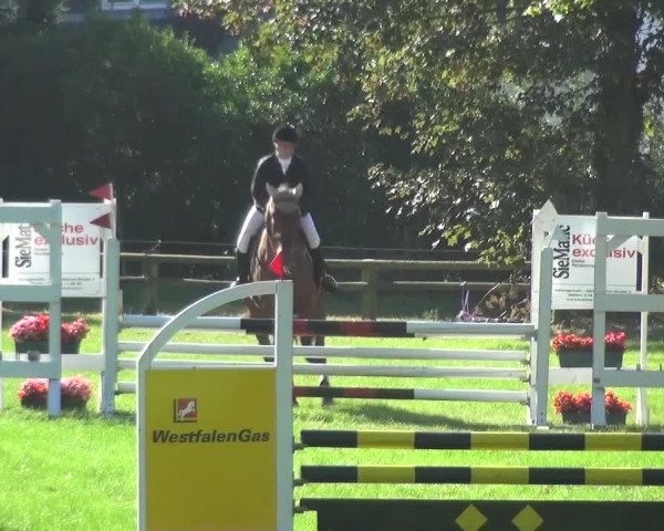 Reitturnier Würselen-Pley 2016