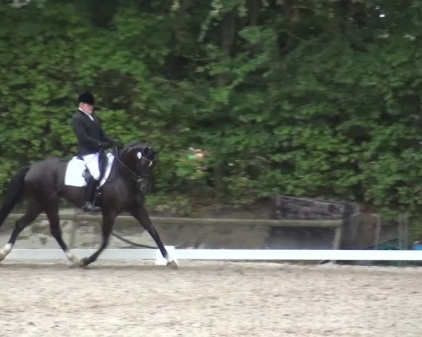 Reitturnier Würselen-Pley 2016