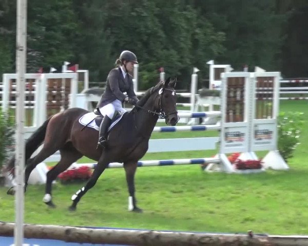 Reitturnier Würselen-Pley 2016
