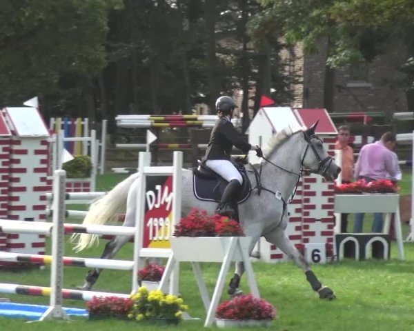 Reitturnier Würselen-Pley 2016