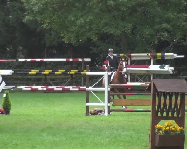 Reitturnier Würselen-Pley 2016