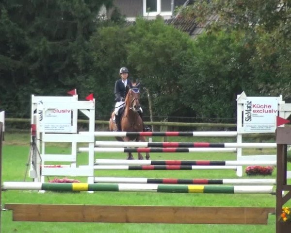 Reitturnier Würselen-Pley 2016