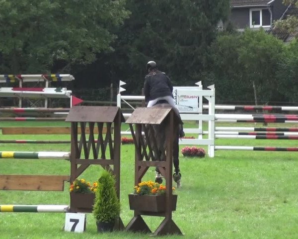 Reitturnier Würselen-Pley 2016
