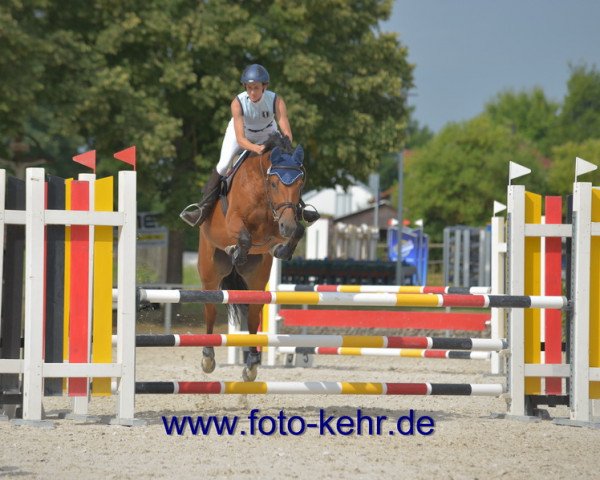 broodmare Finara N (Bavarian, 2008, from Acordelli)