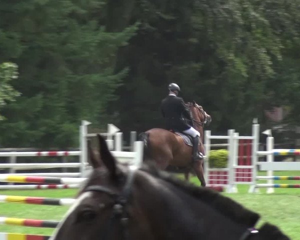 Reitturnier Würselen-Pley 2016
