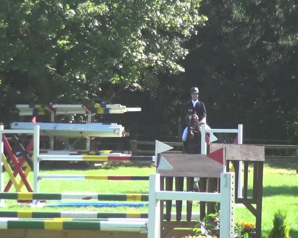 Reitturnier Würselen-Pley 2016