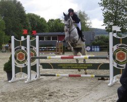 jumper Viva La Vida 9 (Hanoverian, 2012, from Uccello)