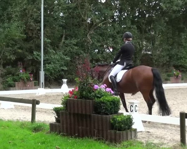 Reitturnier Würselen-Pley 2016