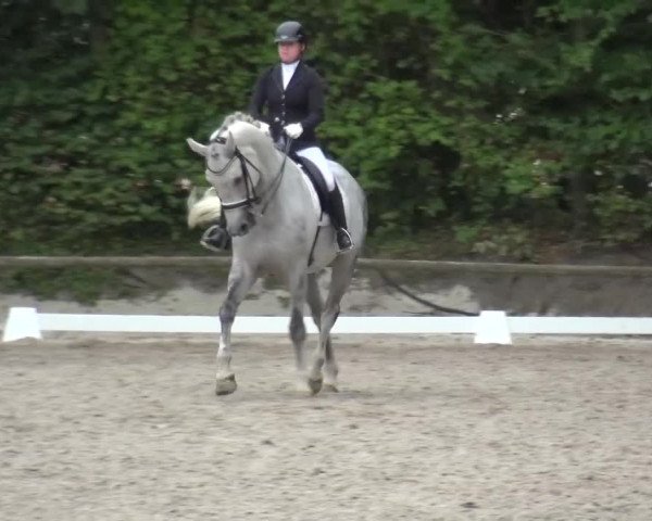 Reitturnier Würselen-Pley 2016