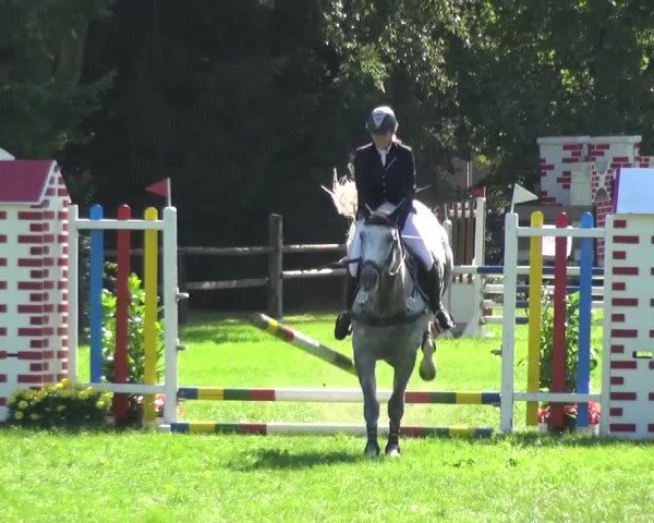 Reitturnier Würselen-Pley 2016