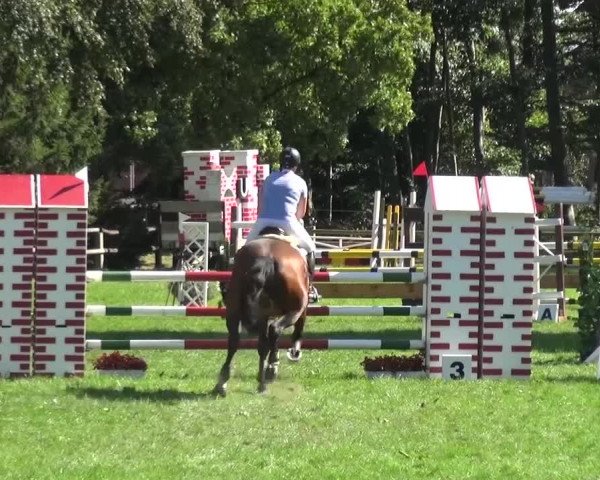 Reitturnier Würselen-Pley 2016