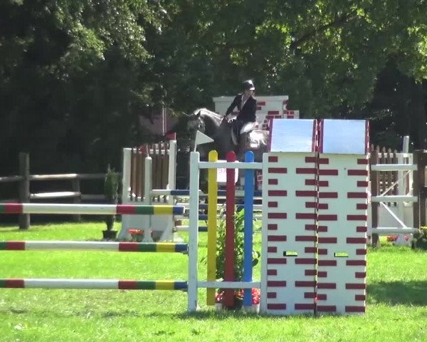 Reitturnier Würselen-Pley 2016