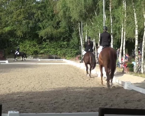 Reitturnier Würselen-Pley 2016