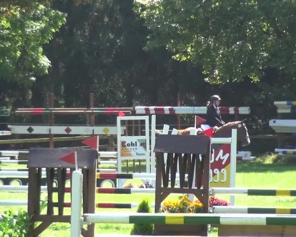 Reitturnier Würselen-Pley 2016