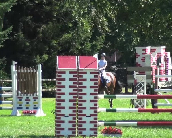Reitturnier Würselen-Pley 2016