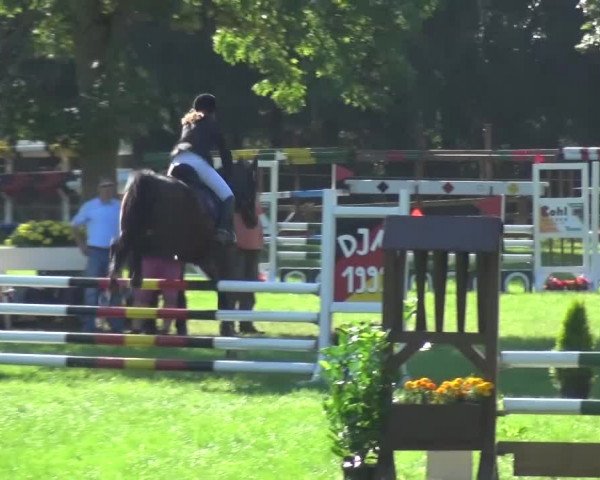 Reitturnier Würselen-Pley 2016