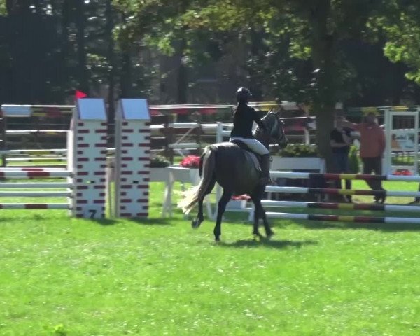 Reitturnier Würselen-Pley 2016