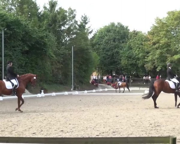 Reitturnier Würselen-Pley 2016