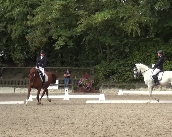 Reitturnier Würselen-Pley 2016