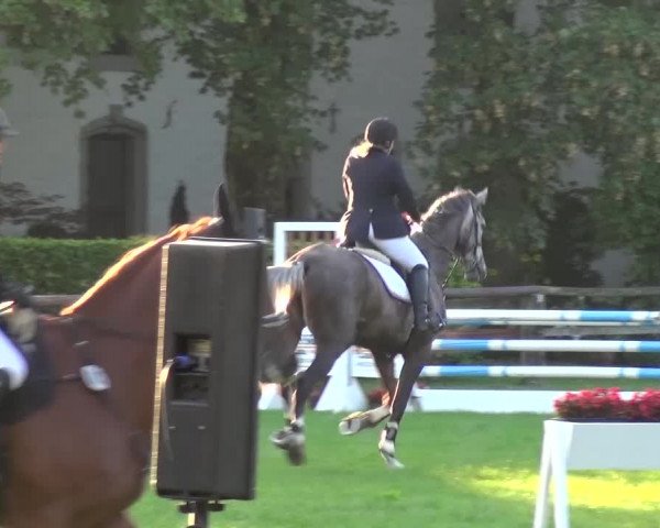 Reitturnier Würselen-Pley 2016