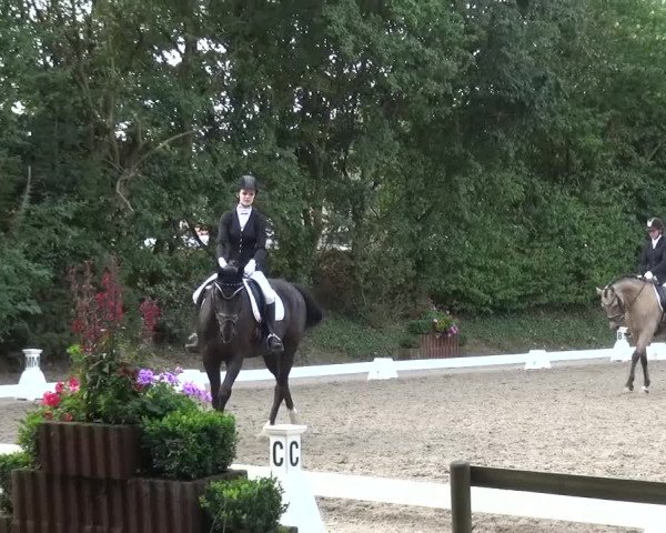 Reitturnier Würselen-Pley 2016