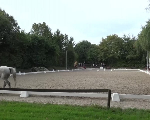 Reitturnier Würselen-Pley 2016