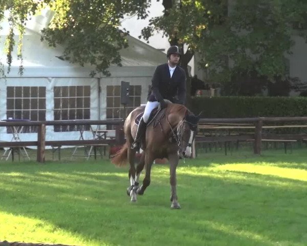 Reitturnier Würselen-Pley 2016