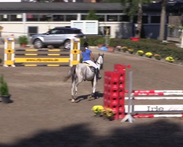 Reitturnier Siegen 2016