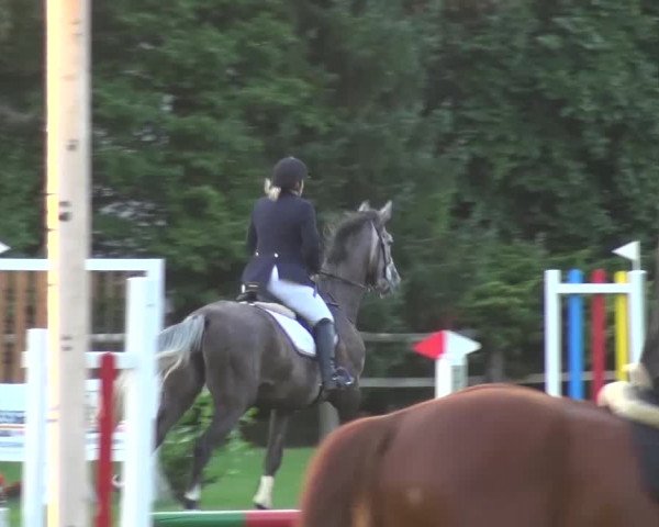 Reitturnier Würselen-Pley 2016
