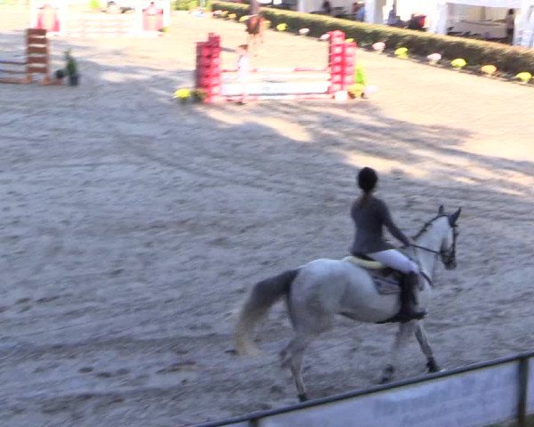 Reitturnier Siegen 2016