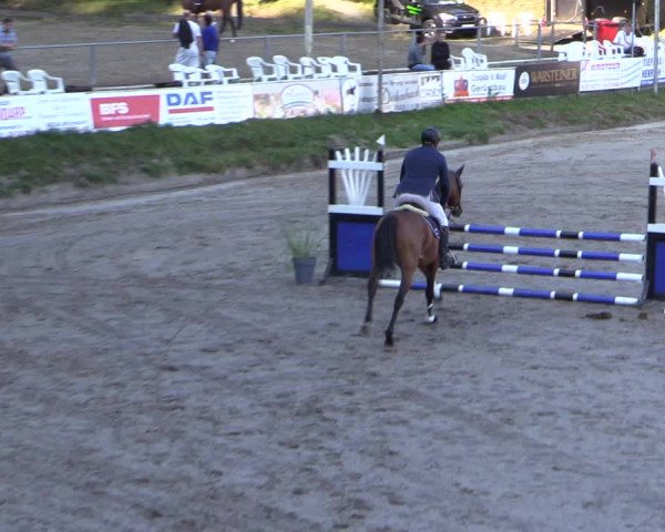 Reitturnier Siegen 2016