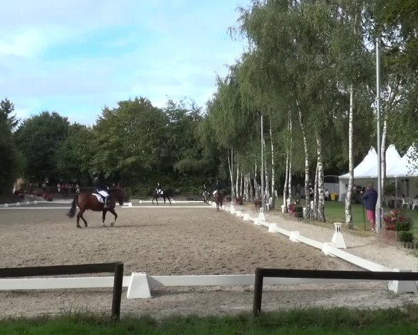 Reitturnier Würselen-Pley 2016