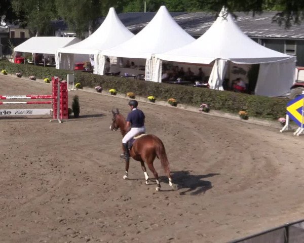 Reitturnier Siegen 2016