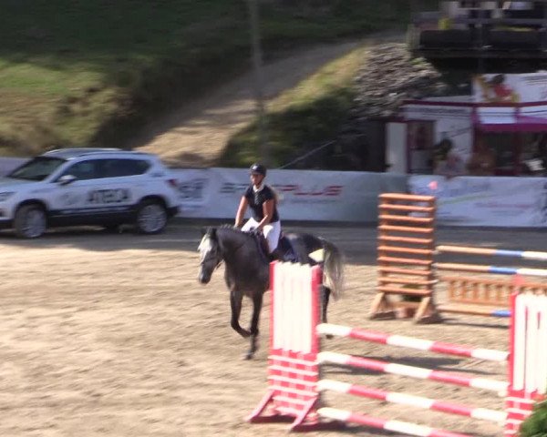 Reitturnier Siegen 2016