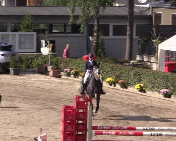 Reitturnier Siegen 2016