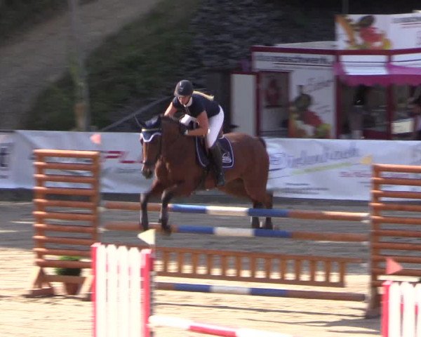 Reitturnier Siegen 2016