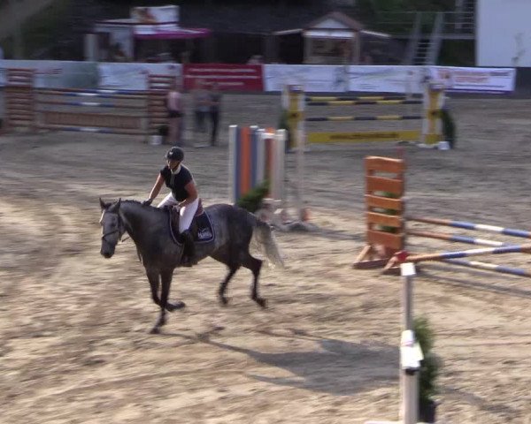 Reitturnier Siegen 2016