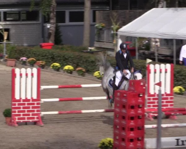 Reitturnier Siegen 2016