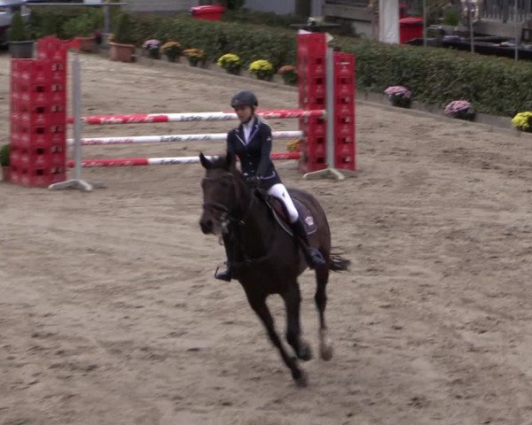 Reitturnier Siegen 2016