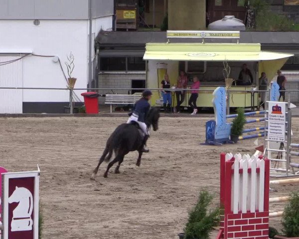 Reitturnier Siegen 2016