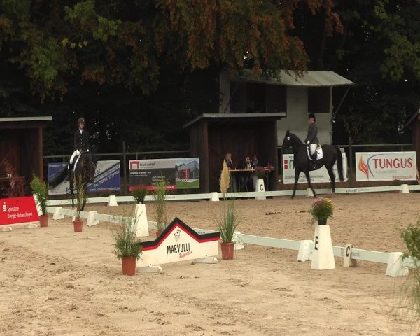 Reitturnier Meinerzhagen 2016