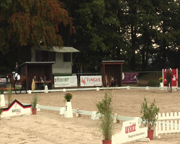 Reitturnier Meinerzhagen 2016